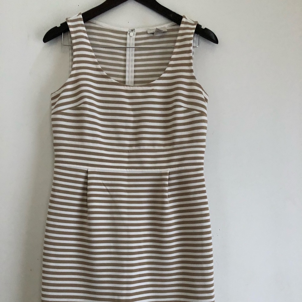 Ladies fashion apparel